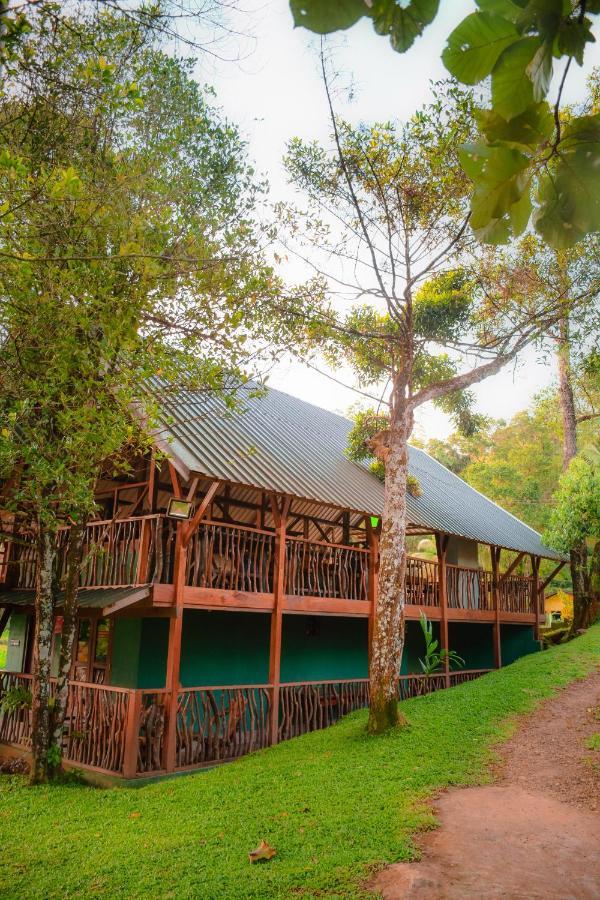 Cinnamon Village Sinharaja Deniyaya Esterno foto