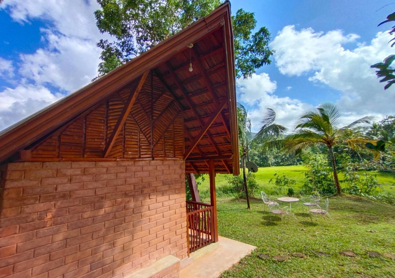 Cinnamon Village Sinharaja Deniyaya Esterno foto