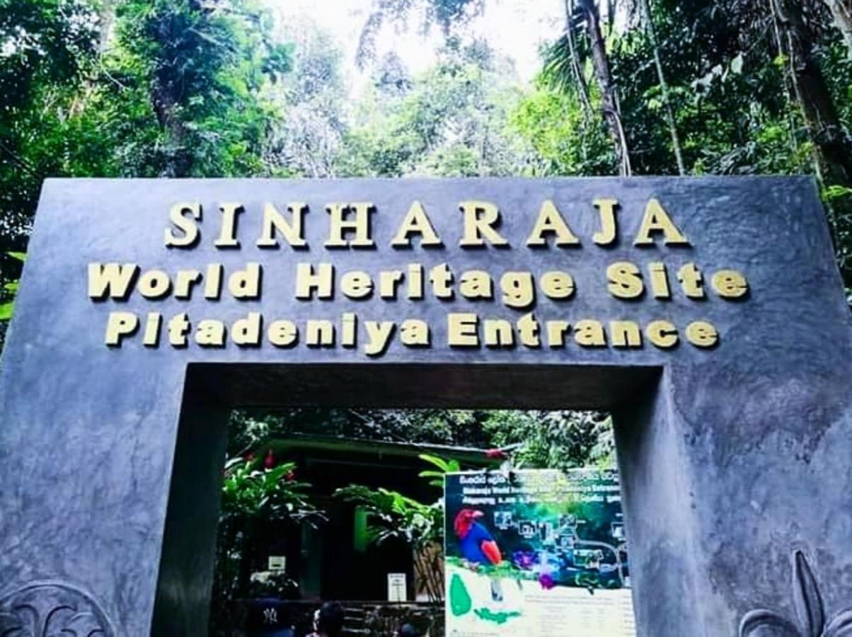 Cinnamon Village Sinharaja Deniyaya Esterno foto