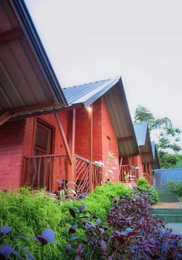 Cinnamon Village Sinharaja Deniyaya Esterno foto