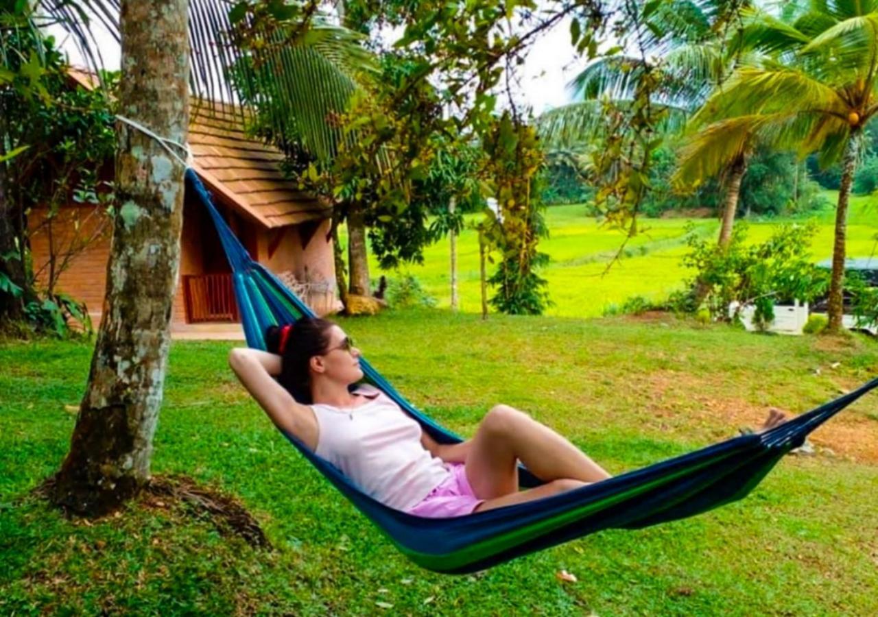 Cinnamon Village Sinharaja Deniyaya Esterno foto