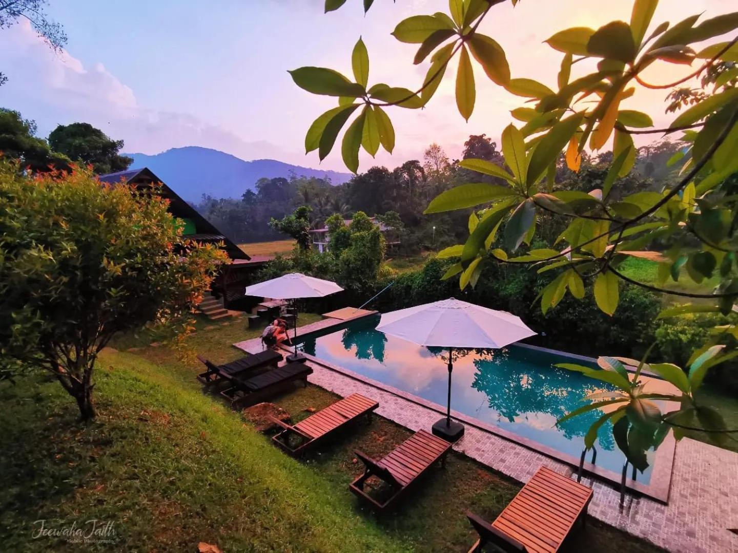 Cinnamon Village Sinharaja Deniyaya Esterno foto