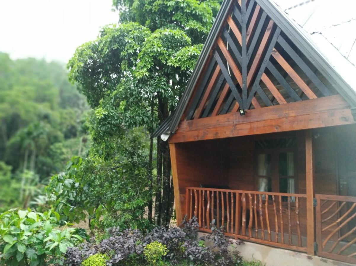 Cinnamon Village Sinharaja Deniyaya Esterno foto