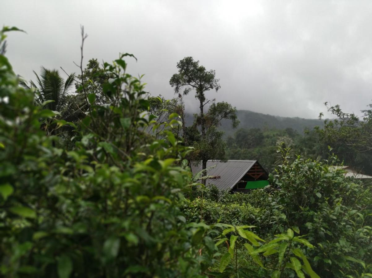 Cinnamon Village Sinharaja Deniyaya Esterno foto